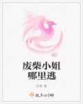 废柴小姐太嚣张免费阅读 废柴小姐太嚣张免费阅读