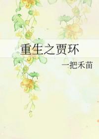 重生贾环 5200 重生贾环 5200