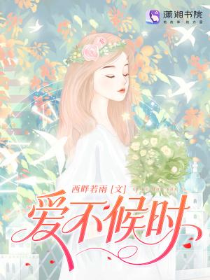 风雨大宋无弹窗 风雨大宋无弹窗